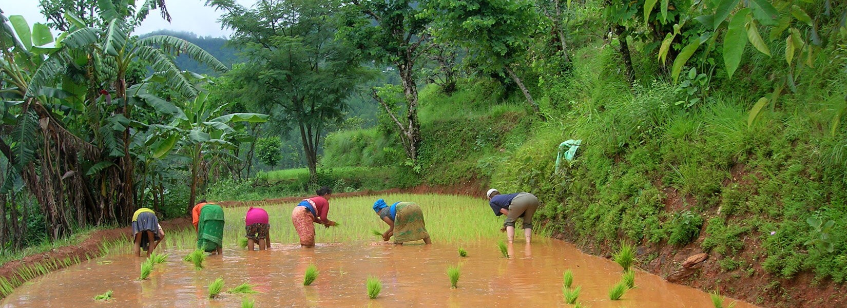 Dhading Village tour